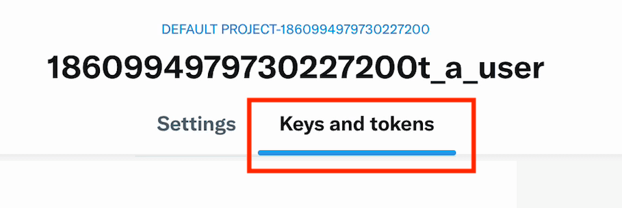 Keys and Tokens Tab